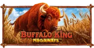 ภาพเกม Buffalo King Megaways ที่ fah999 รวบรวมไว้